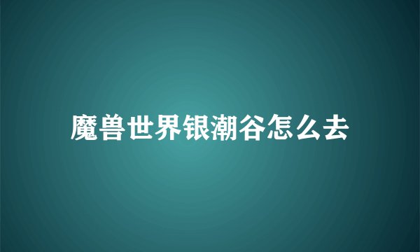 魔兽世界银潮谷怎么去