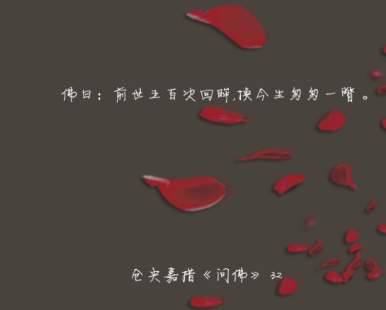 前世500次回眸的完整句子是什么？