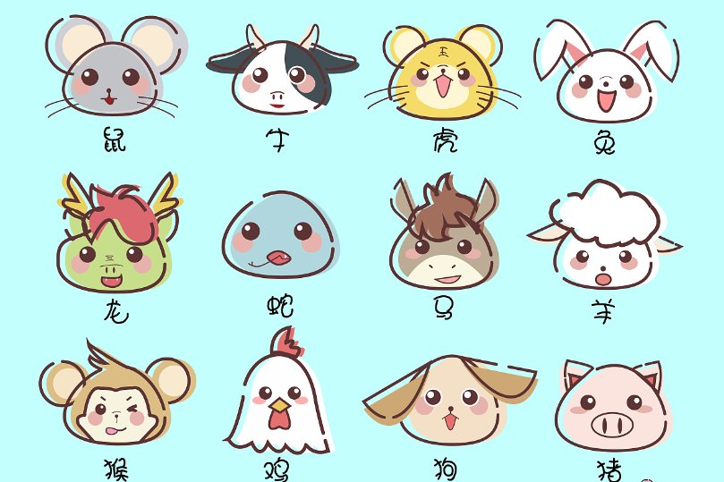 百宝万货打一生肖