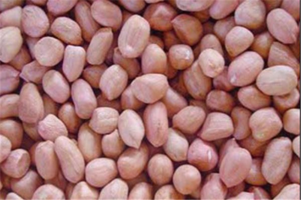 山西村民给书记硬塞一把花生，你怎么看？