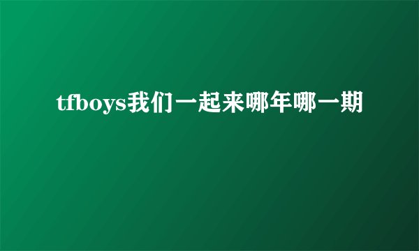 tfboys我们一起来哪年哪一期
