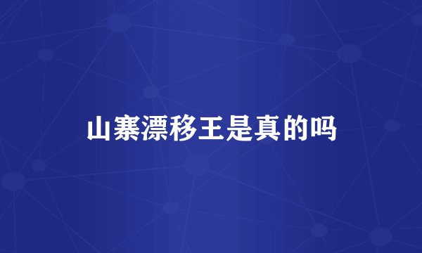 山寨漂移王是真的吗