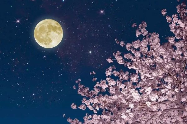 明月万江头上一句