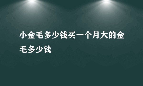 小金毛多少钱买一个月大的金毛多少钱