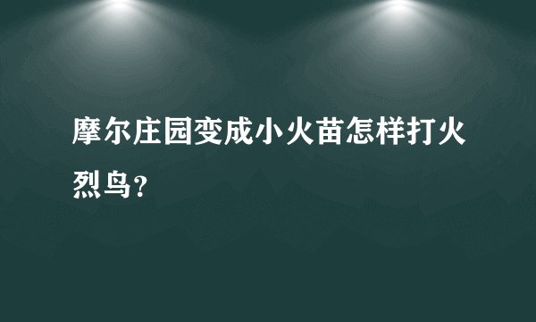摩尔庄园变成小火苗怎样打火烈鸟？