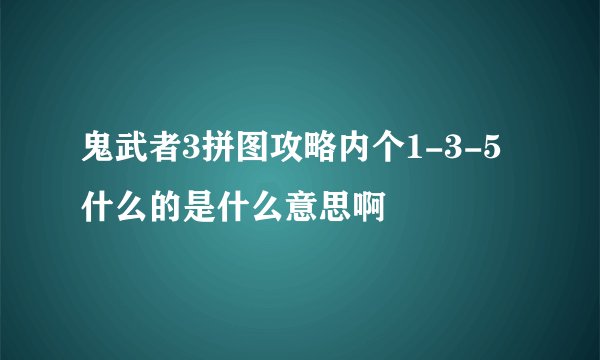 鬼武者3拼图攻略内个1-3-5什么的是什么意思啊