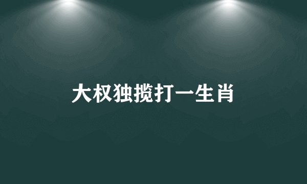 大权独揽打一生肖