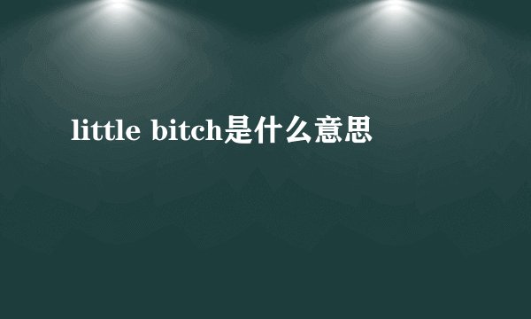 little bitch是什么意思