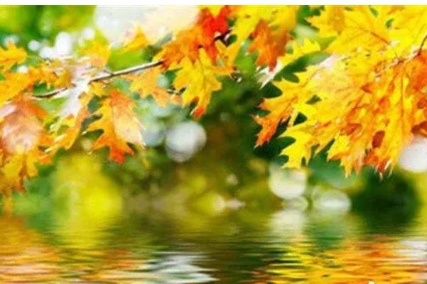 才感觉到夏天,怎么突然变秋天的句子