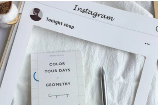 为什么中国禁止用ins