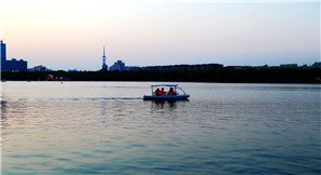 稻穗登场谷满丰,家家鸡犬列桑麻.打一生肖