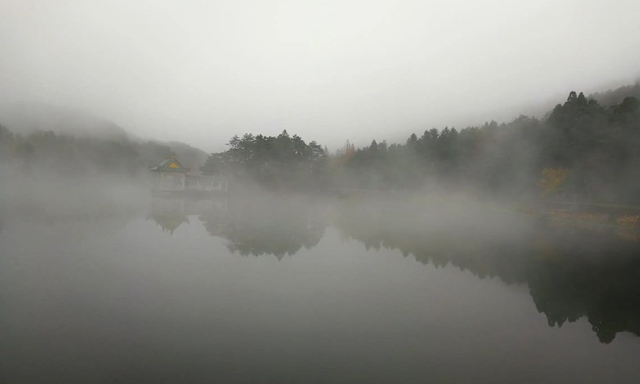 描写雾气蒙蒙的优美句子