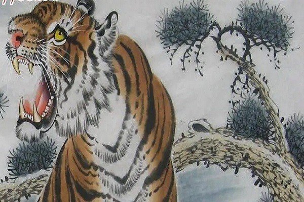 动物在自然界中的作用是