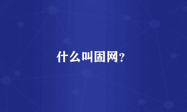 什么叫固网？