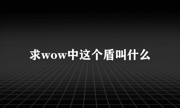 求wow中这个盾叫什么