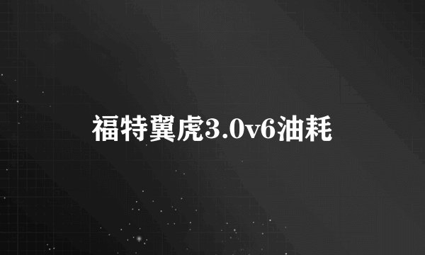 福特翼虎3.0v6油耗