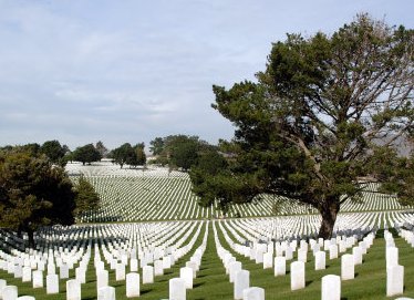 人大代表建议全面取消经营性公墓，是出于什么的考虑？