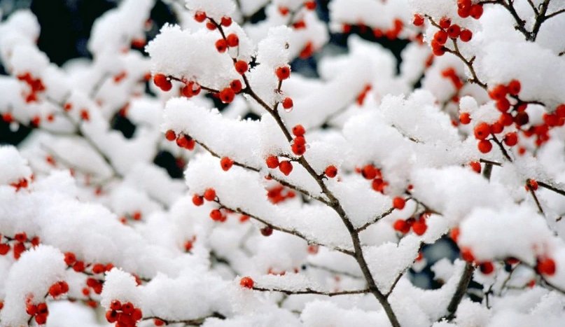 为什么说冬天是个“白色的季节”？
