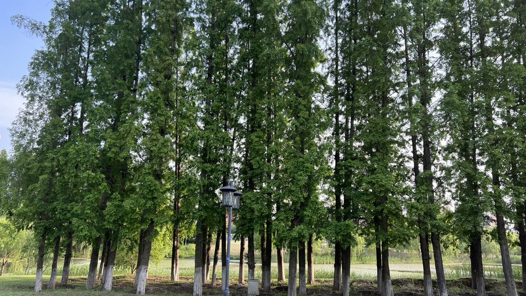 且行且珍惜什么意思