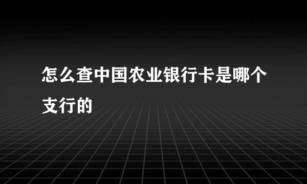 怎么查中国农业银行卡是哪个支行的