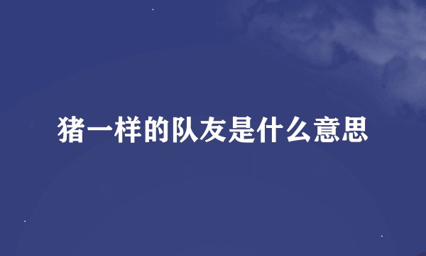 猪一样的队友是什么意思