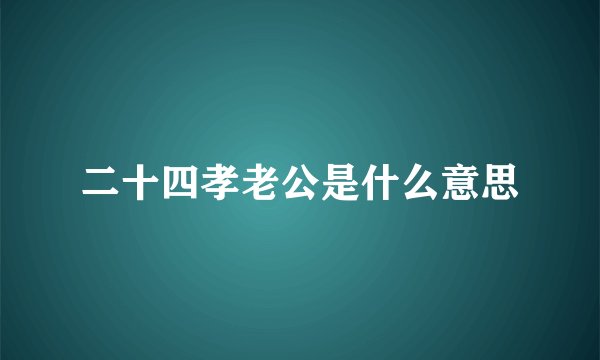 二十四孝老公是什么意思