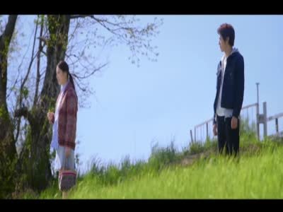 幸运情人草的介绍