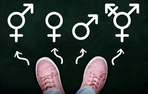 ts是什么意思？