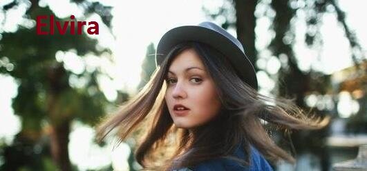 英文Elvira 中文翻译是什么意思啊