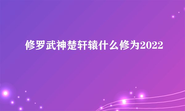 修罗武神楚轩辕什么修为2022