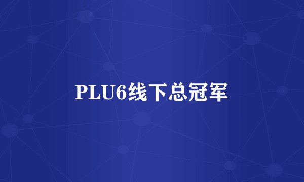 PLU6线下总冠军