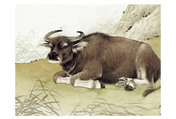 春雨沥沥猜一生肖