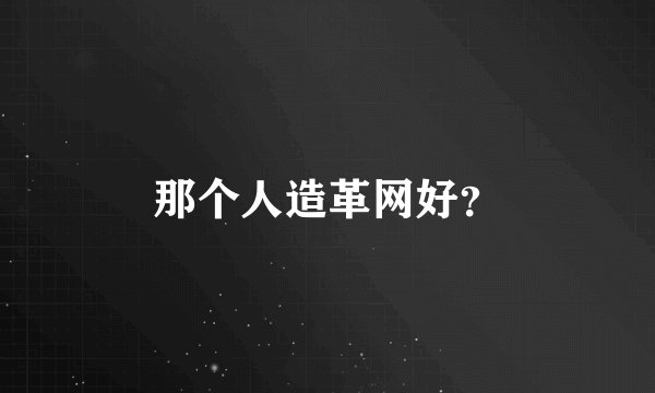 那个人造革网好？