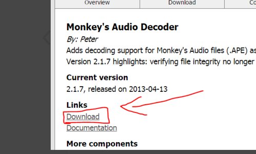 如何使用Monkey Audio Decoder播放APE音频文件？