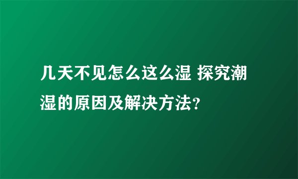 几天不见怎么这么湿 探究潮湿的原因及解决方法？