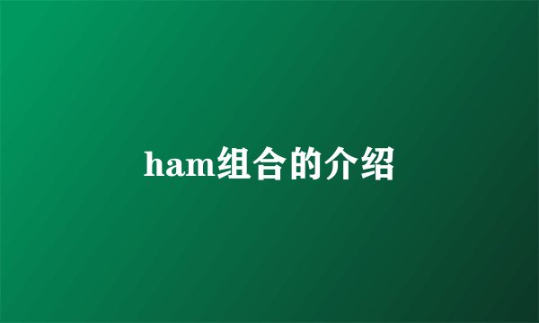 ham组合的介绍