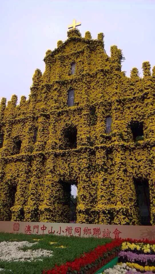 菊城金瓣的详细