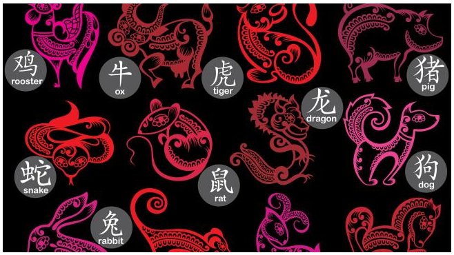 付诸一笑打一正确生肖