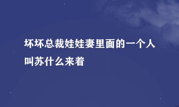 坏坏总裁娃娃妻里面的一个人叫苏什么来着