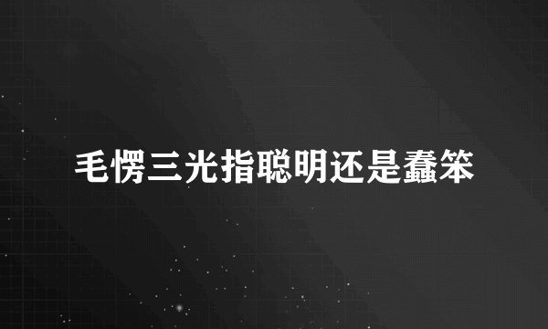 毛愣三光指聪明还是蠢笨