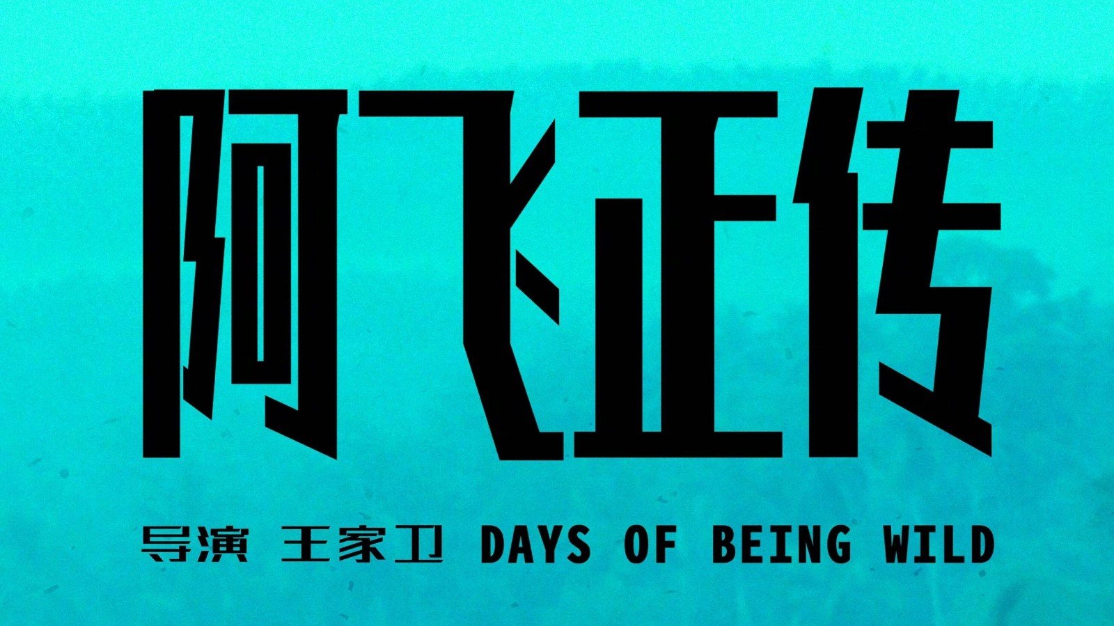 阿飞正传主要剧情是什么？