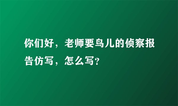你们好，老师要鸟儿的侦察报告仿写，怎么写？