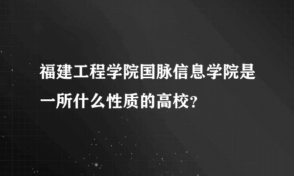 福建工程学院国脉信息学院是一所什么性质的高校？