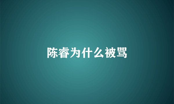 陈睿为什么被骂