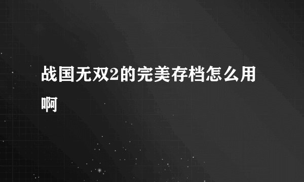 战国无双2的完美存档怎么用啊