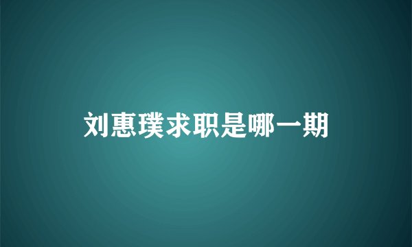 刘惠璞求职是哪一期