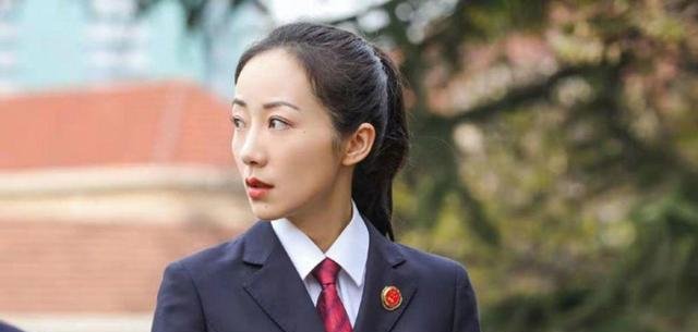 巡回检查组共几集