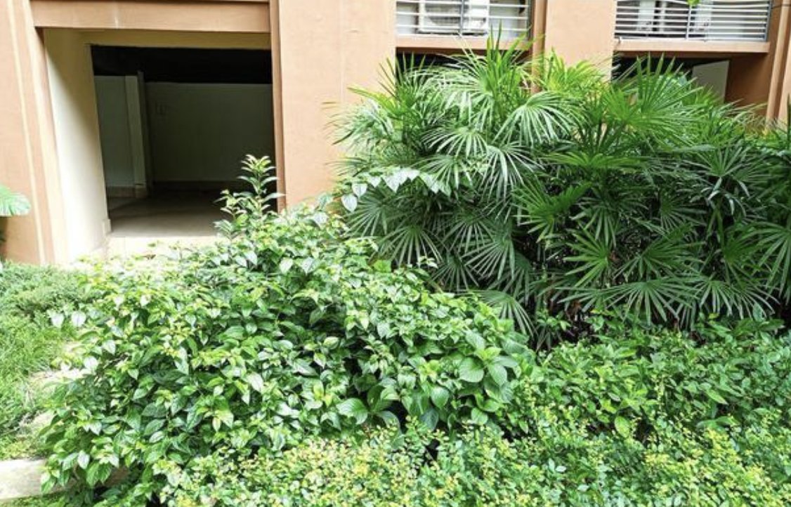 重庆姐弟坠楼案亲生父亲及女友当庭痛哭,主从犯会如何认定?