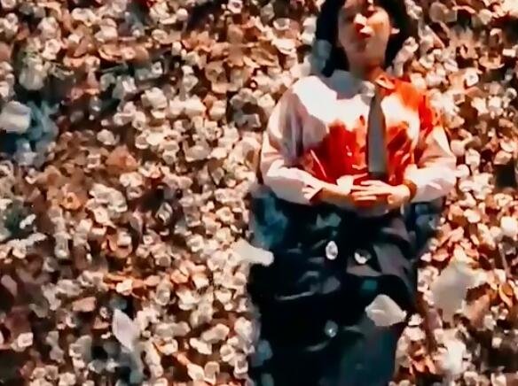 禁忌女孩为什么不喜欢花