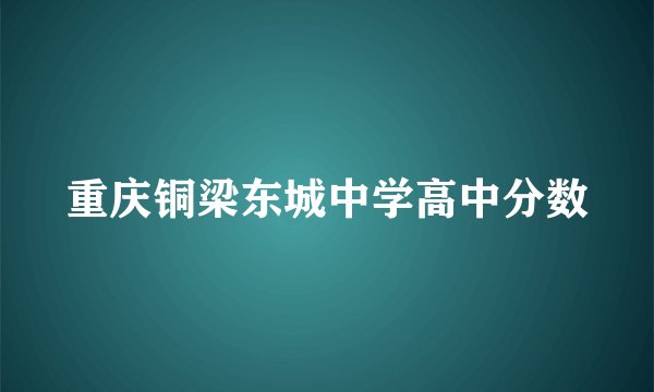 重庆铜梁东城中学高中分数